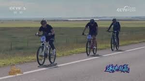 巴乔：希望看到意大利重返世界杯，94世界杯永生难忘