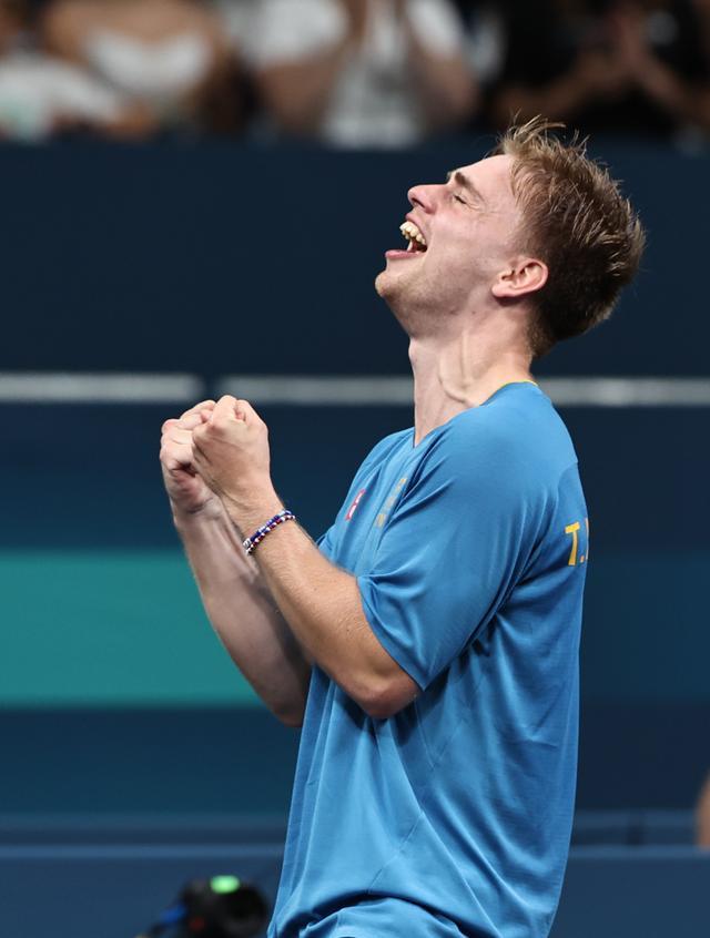 毛球运动的 毛球运动的